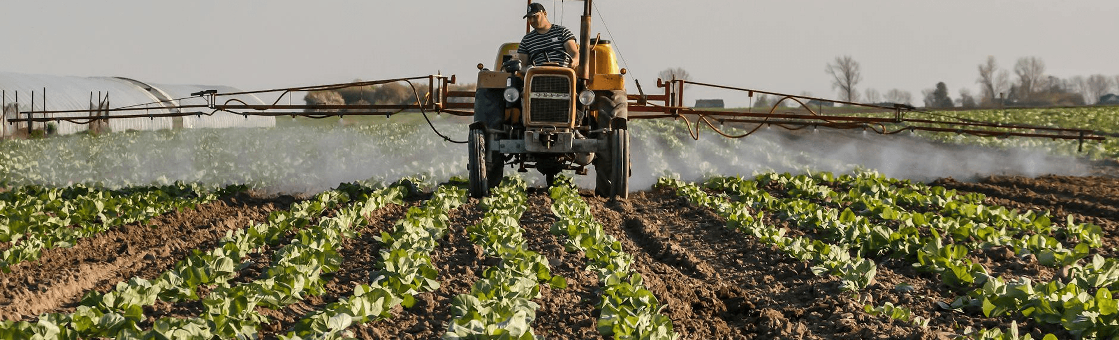 AgriTech & Sustainability