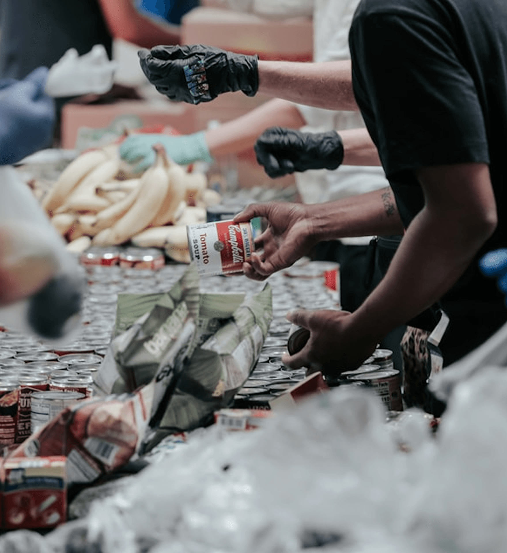 Non-Profits & Social Impact